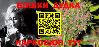 PSILOCYBIN Кингисепп